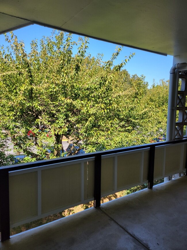 Building Photo - 7533 Spring Lake Dr