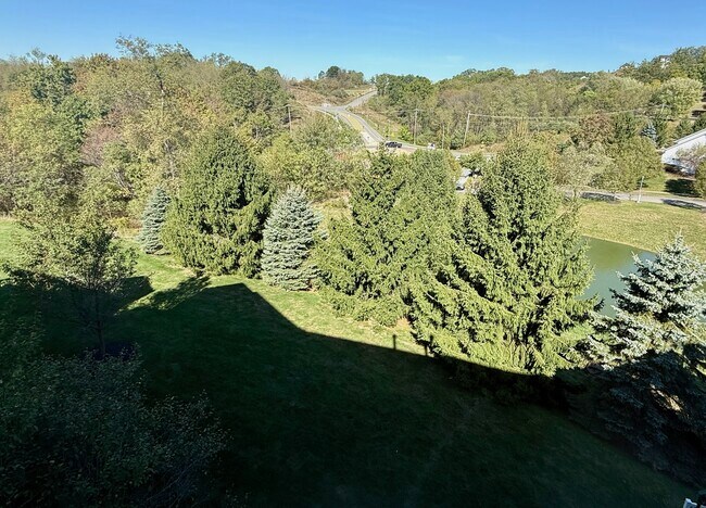 Building Photo - 109 Stockton Ridge