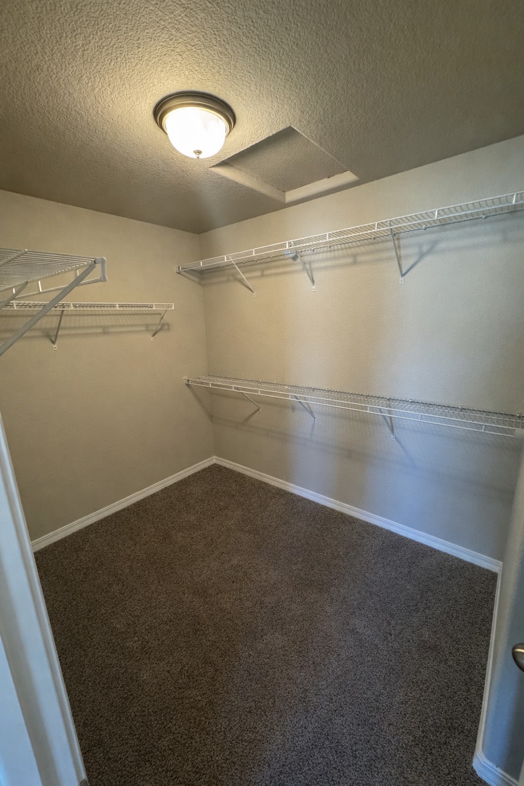 Building Photo - 4762 Amazonite Dr