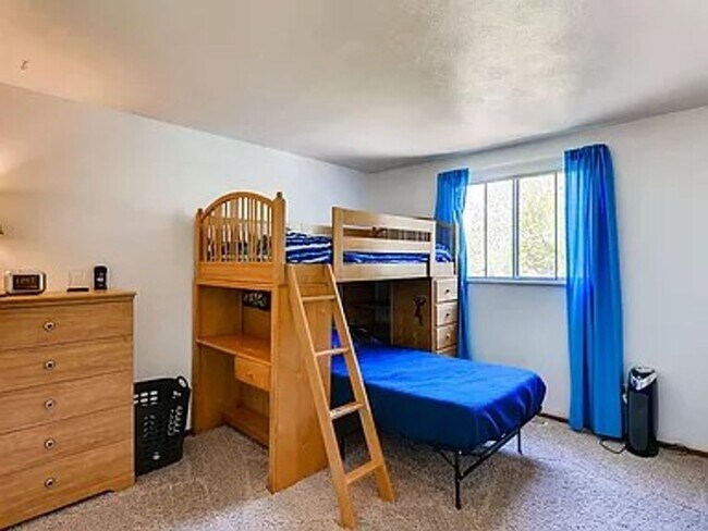 Building Photo - Spacious Home on a Large Lot in Villa Loma Neighborhood in D11