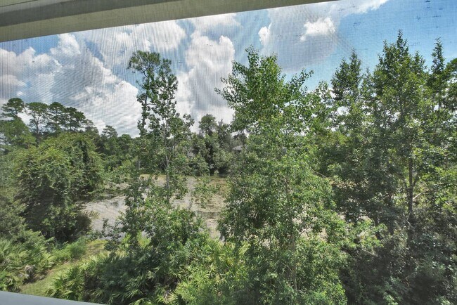 Building Photo - 748 Old Treeline Trail