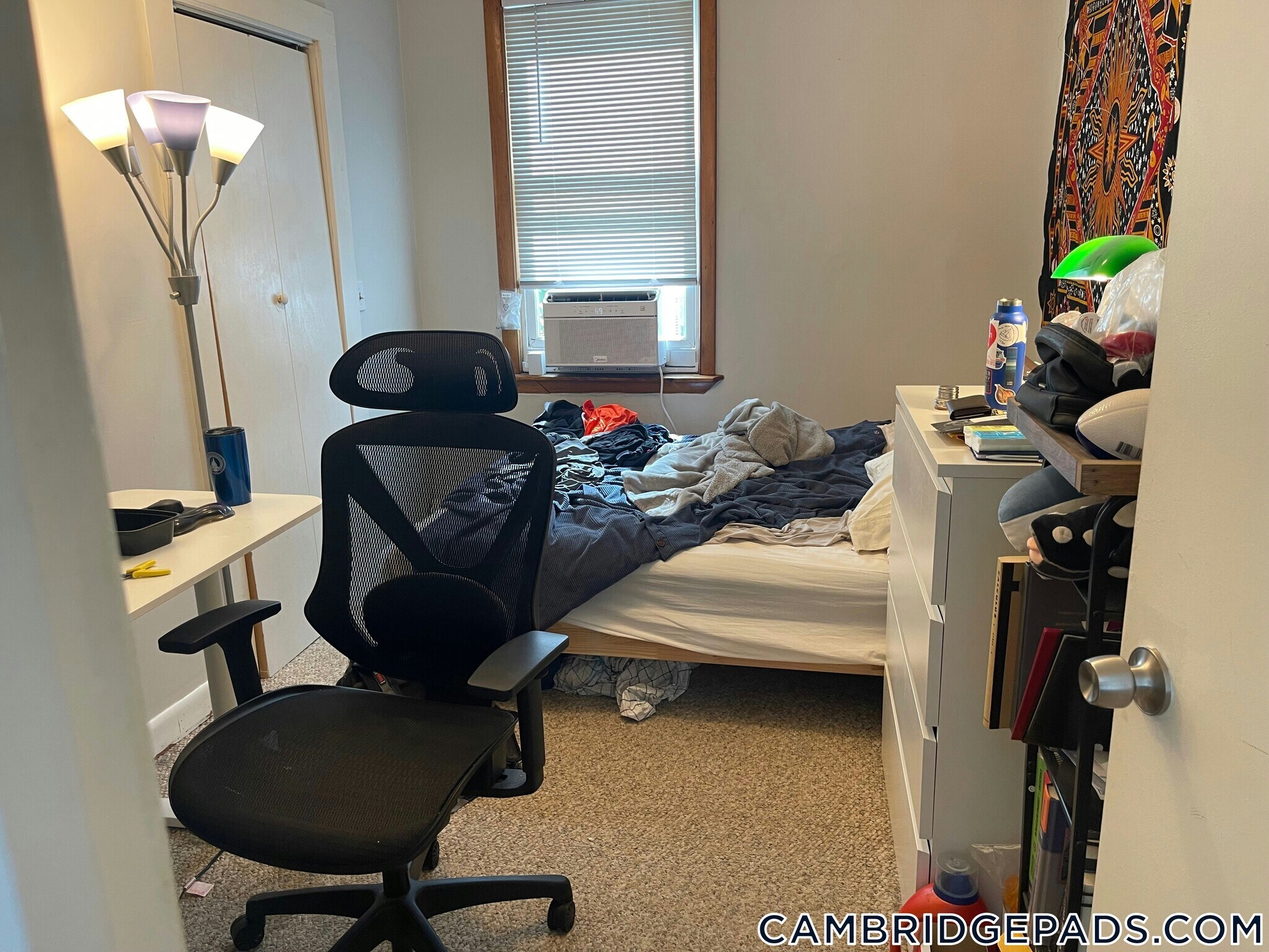 Building Photo - 273 Cardinal Medeiros Ave