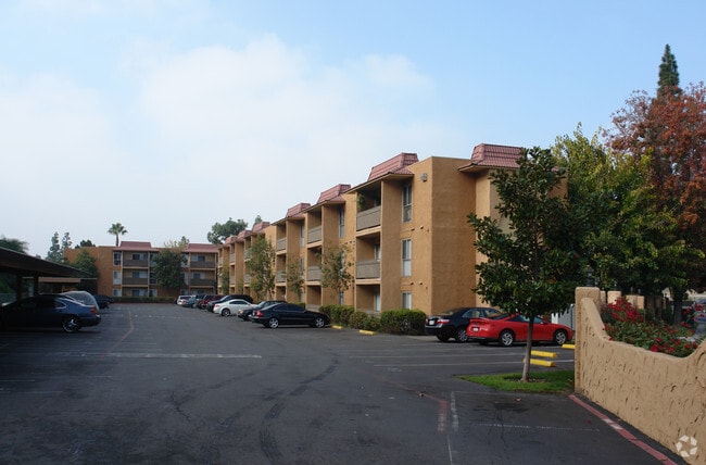Building Photo - Cerro Vista