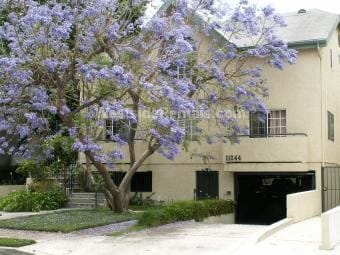 Building Front - 11244 Morrison Ave