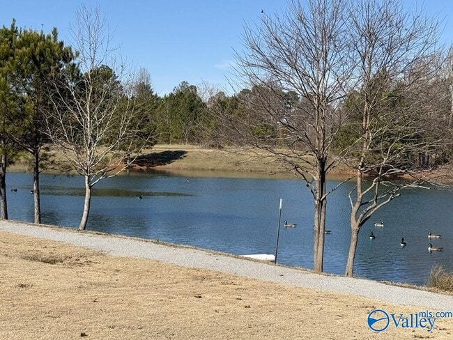 Building Photo - 25861 Caldera Dr