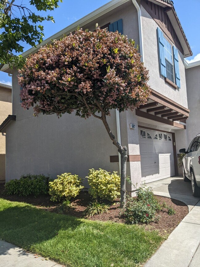 Building Photo - 1582 Sawgrass Dr