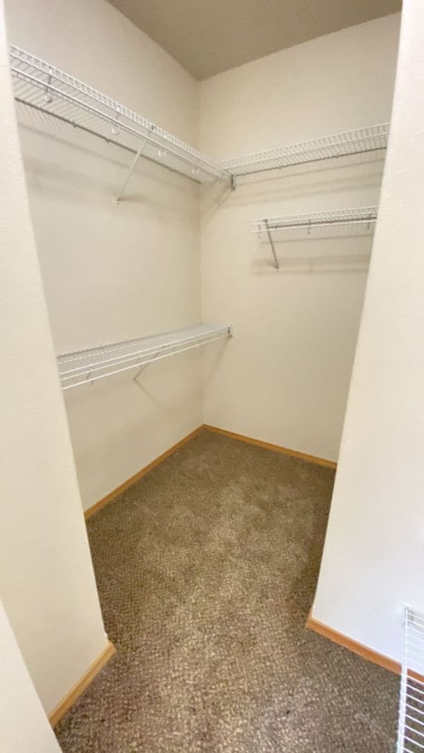 Building Photo - Triple Car Garage & New Interior Paint