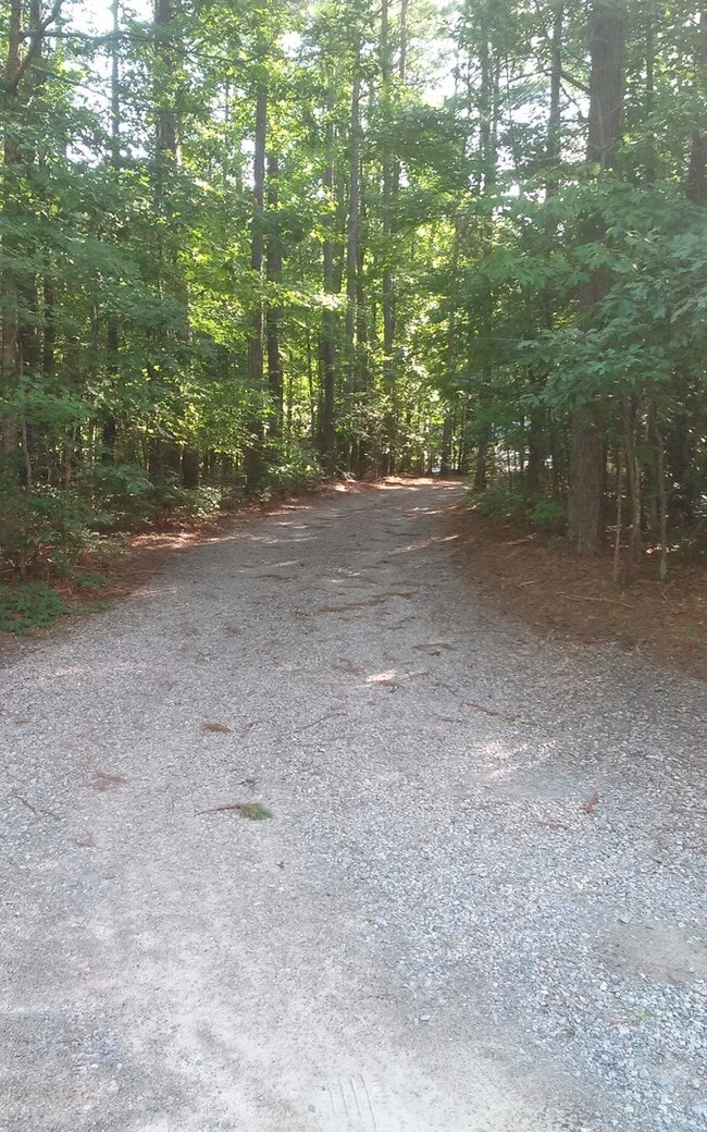 Building Photo - 3 Bedroom 2 bath Brick Ranch on 7.9 Acres ...