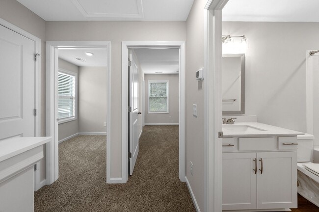 Building Photo - 1217 Dodd St