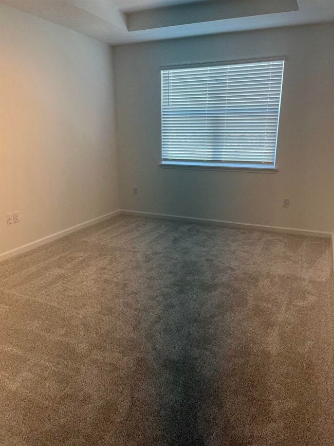 Building Photo - 207 Silver Myrtle Ct