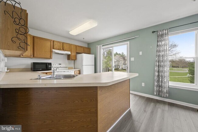 Building Photo - 703 Horse Chestnut Ct