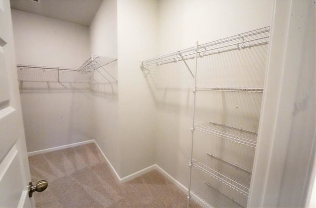 Building Photo - Beautiful 5BR Rincon Home with Open Floorplan & Loft Space