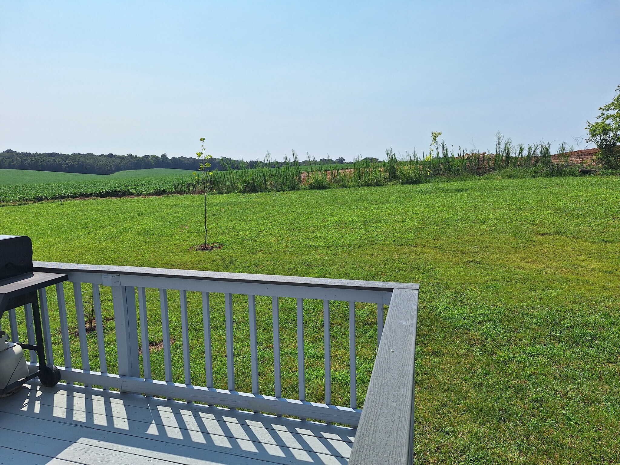 Serene back porch view of rolling farmland - 695 Artic Ave