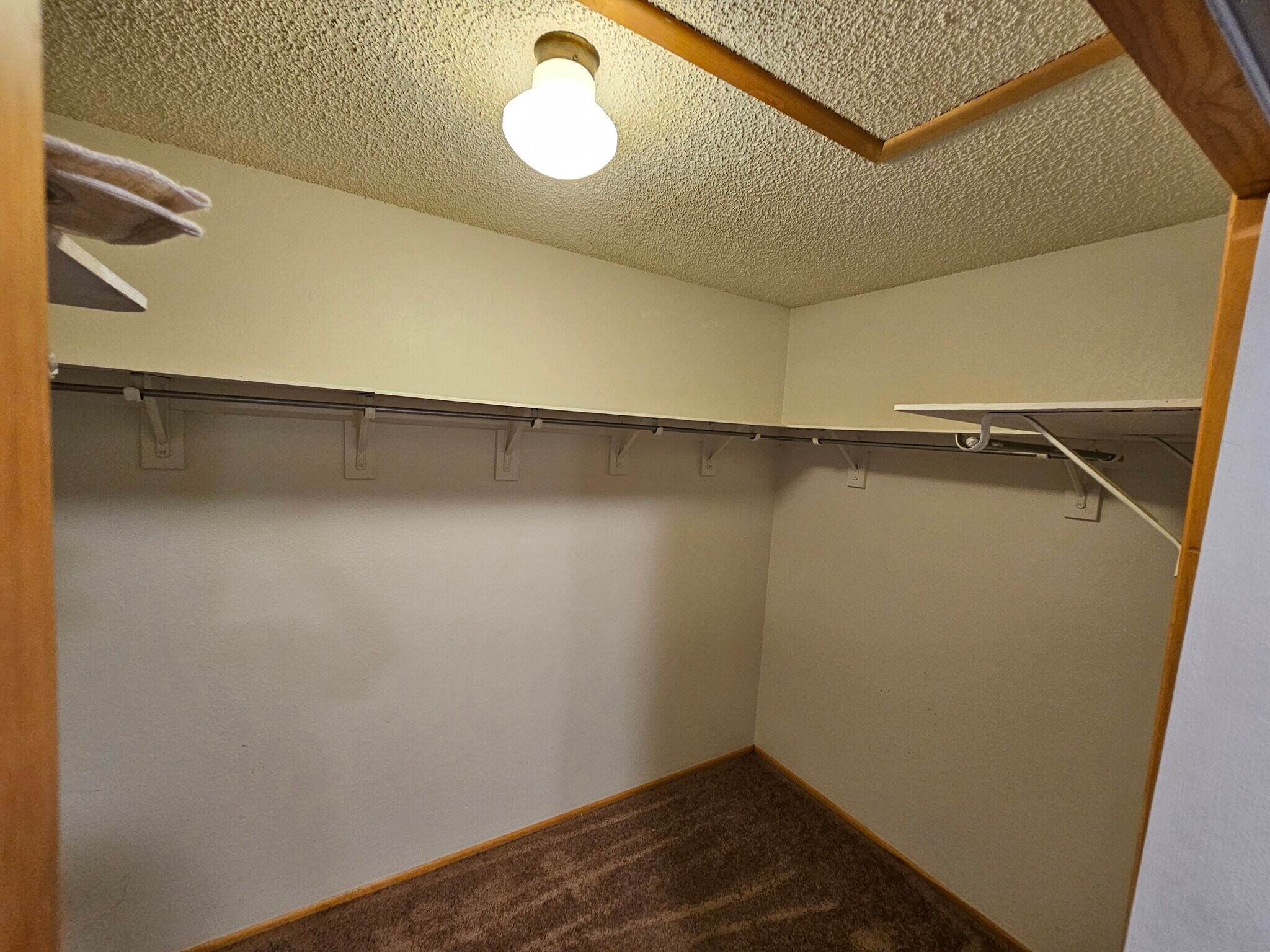 Building Photo - 1712 Ivy Pl