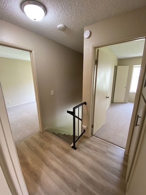 Building Photo - 7327 Unicorn Cir