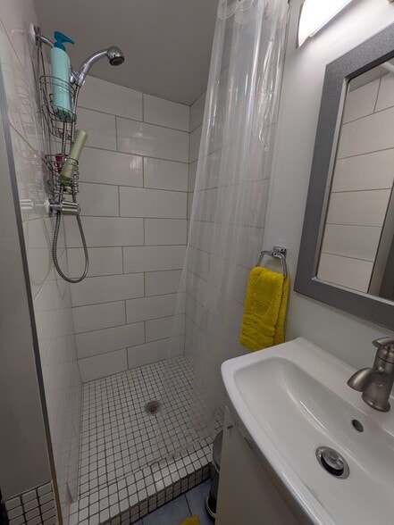 Lower level bathroom - 396 Beacon Ave
