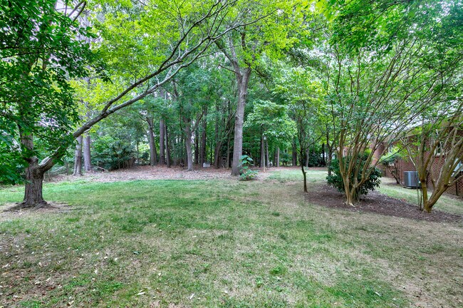 Back Yard - 6208 Bent Fork Cir