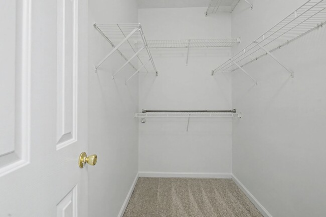 Building Photo - Carolina Lakes!