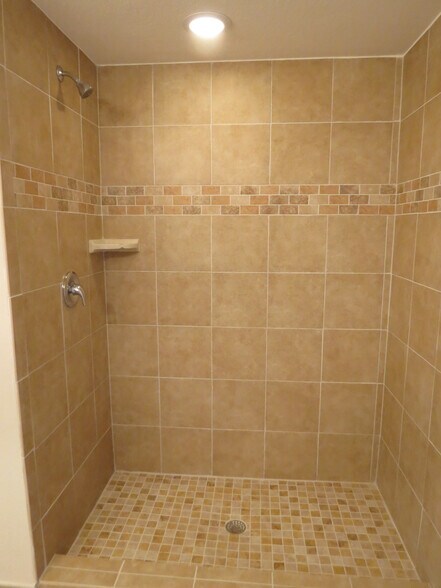 Palmesta Master Shower - 27510 Palmesta Circle, Unit #46