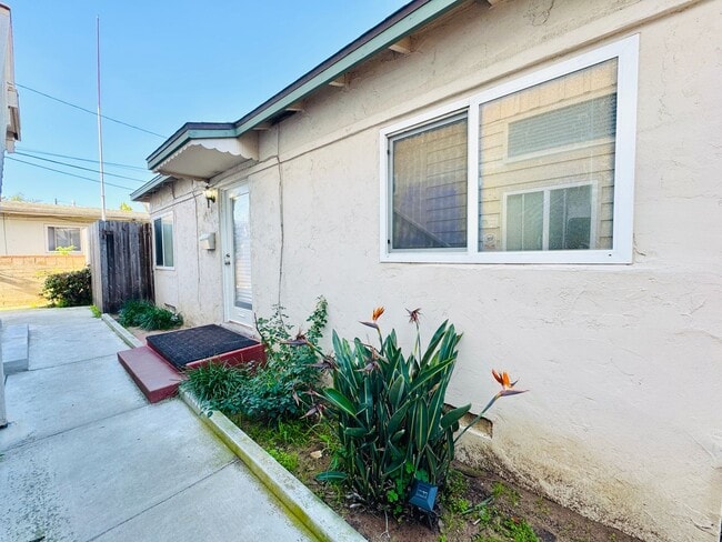 Building Photo - 1 BLOCK TO THE BEACH! COMPLETELY REMODELED 2BD/2BA OCEAN BEACH UNIT WITH TANDEM PARKING! $4,795/MO