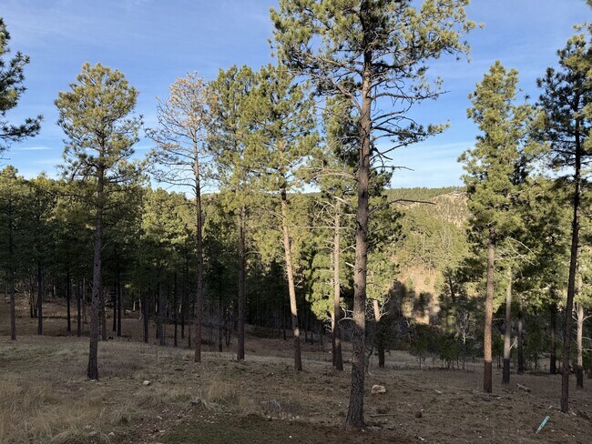 Building Photo - 13646 Twisted Pnes Trl