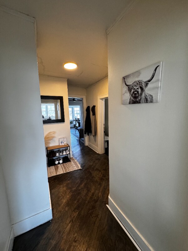 Building Photo - 1008 Elmwood Ave