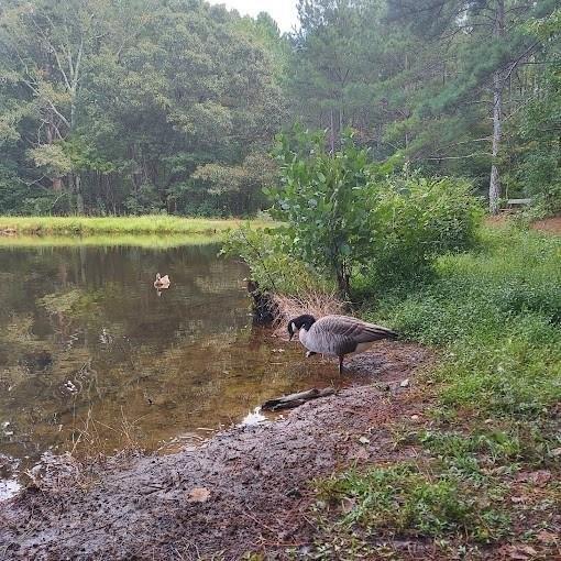 Building Photo - 4283 E Paulding Dr