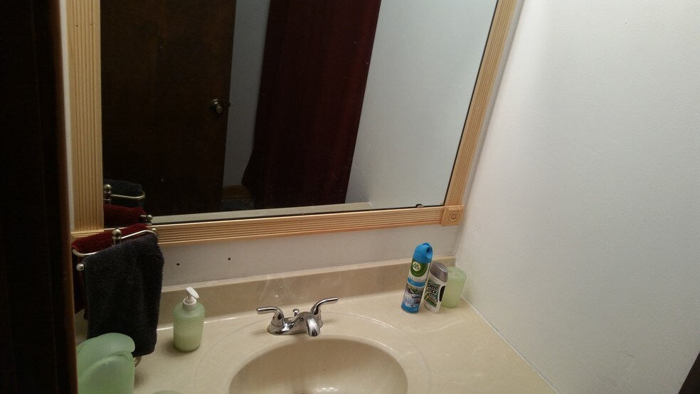 Family Bathroom mirror - 2116 Thaler Ave