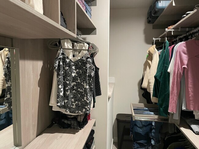 Master closet #1 - 14047 Sunrise Valley Dr