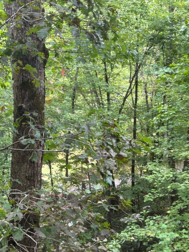 Building Photo - 513 Lapidary Ln