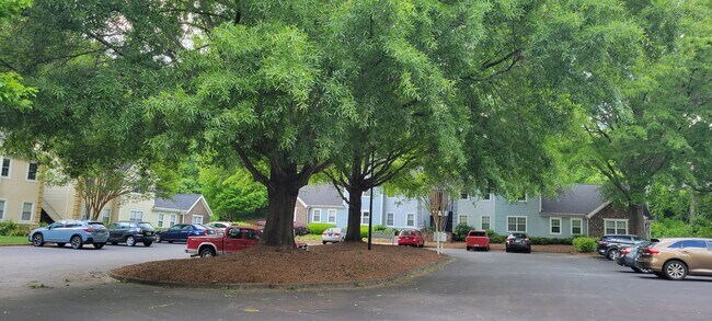 Landscaping2 - 98 Hampshire Ct