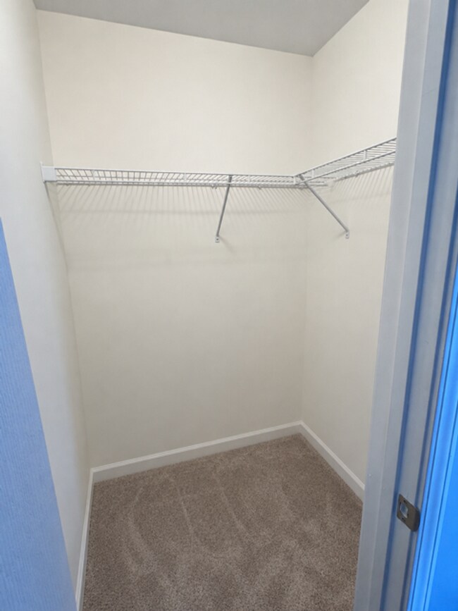 Building Photo - 2520 Clear Pines Ct