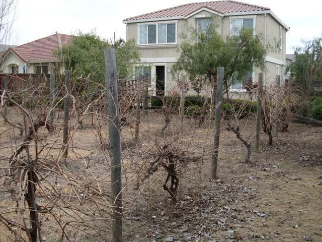 Building Photo - Brentwood Beauty 3 Bed 2.5 Bath
