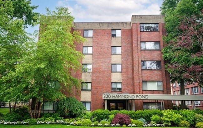 Building Photo - 2-bed + 2-bath Brookline Luxury Condo