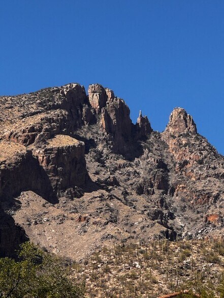 Building Photo - 1512 N Forgeus Ave