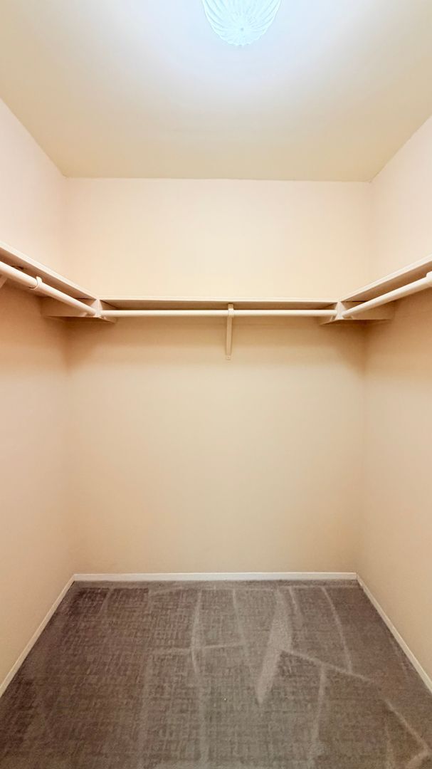 Building Photo - 3169 Santa Cruz Ln