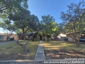 Primary Photo - 205 Maple Dr