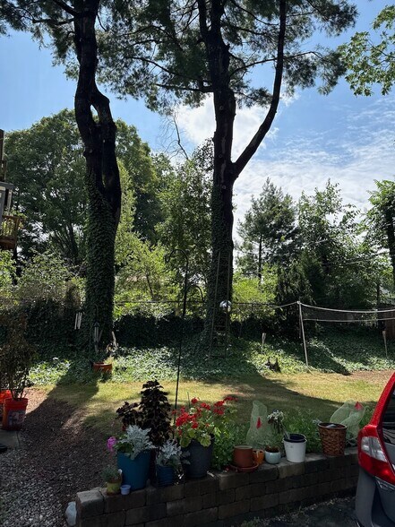 Backyard - 124 Bynner St