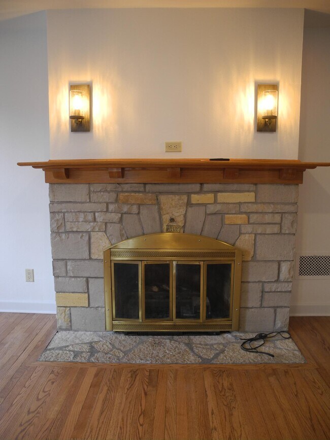 Fireplace - 946 W Shore Dr