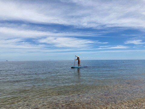 Building Photo - 183 Harbor Ct