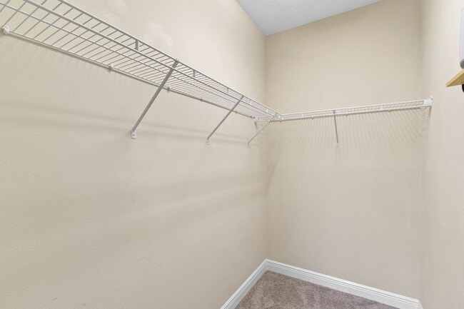 Building Photo - New Rental