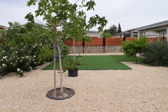 Building Photo - 355 Sol Ct