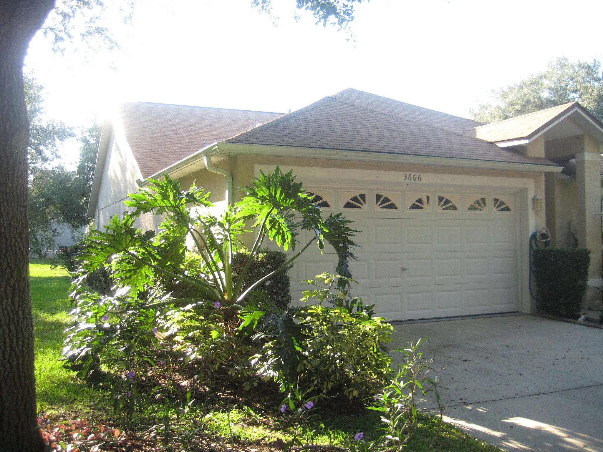 Building Photo - 3666 Amelia Way