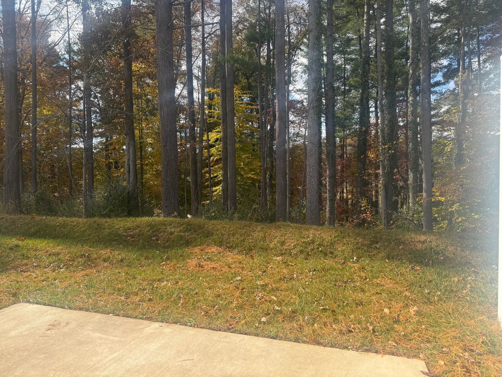 Building Photo - 84 Malcolm Ct