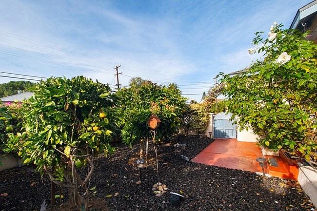 Building Photo - 1921 Rowan St