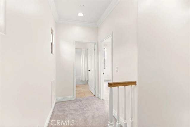 Building Photo - 61 Shade Tree