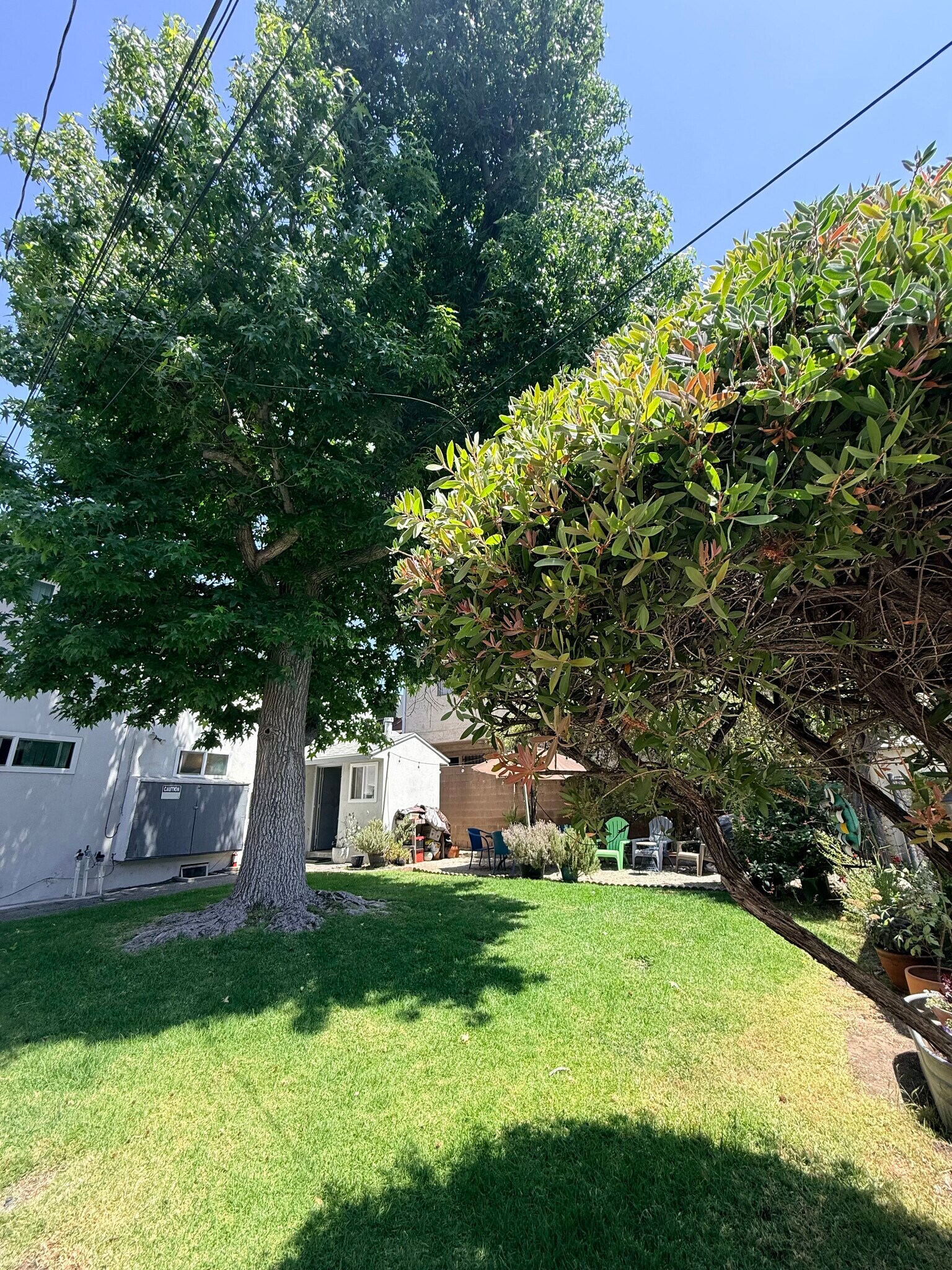 Building Photo - 446 E Cypress Ave