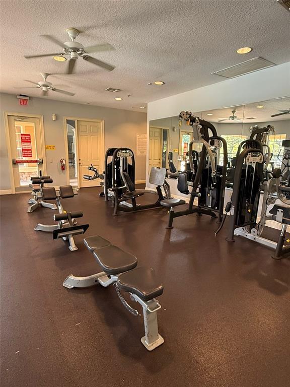 Building Photo - 6466 Cava Alta Dr