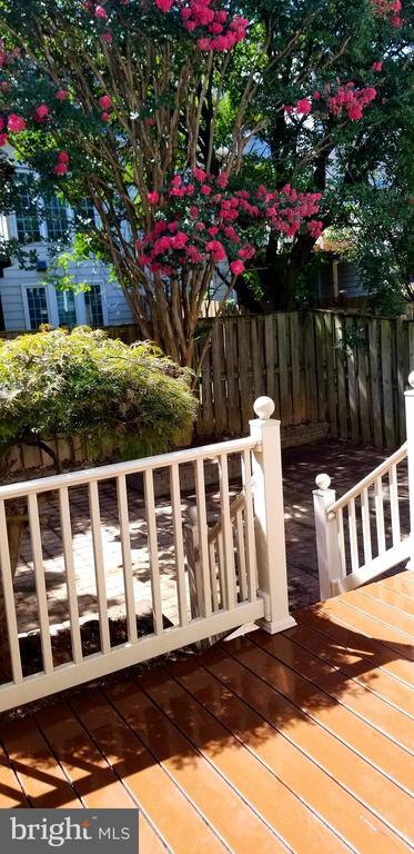 Building Photo - 464 Winding Rose Dr