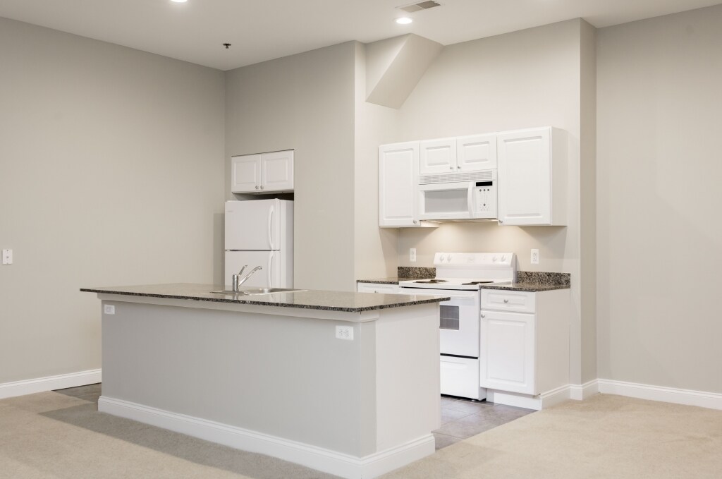 Building Photo - 1001 Chestnut St